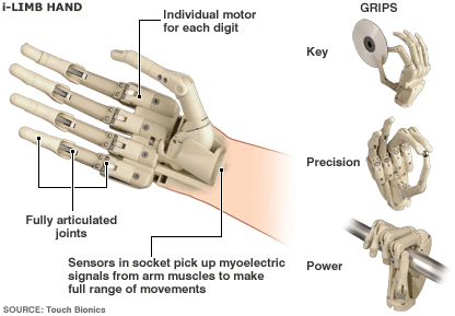 SuperForest: Bionics Now!