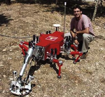 landmine detecting plants